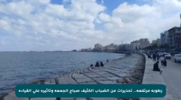 رطوبة مرتفعة.. تحذيرات من الضباب الكثيف صباح الجمعة وتأثيره على القيادة